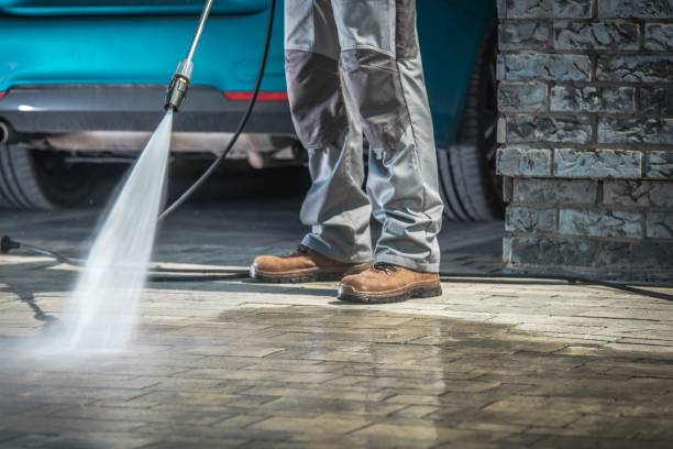 Best Gutter Cleaning  in Cedar Knolls, NJ